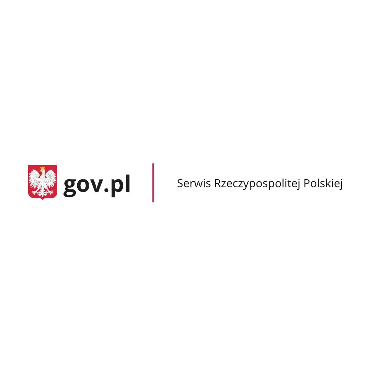 Zdjęcie Ile punktów ma każdy kierowca i co grozi za ich przekroczenie